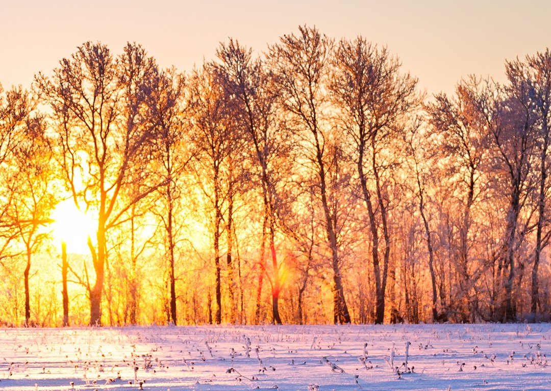 Winter Landscapes image