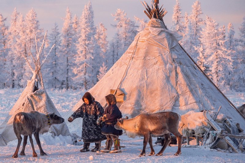 Saami village and tour image