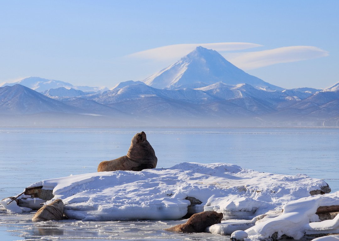 Winter at Kamchatka image