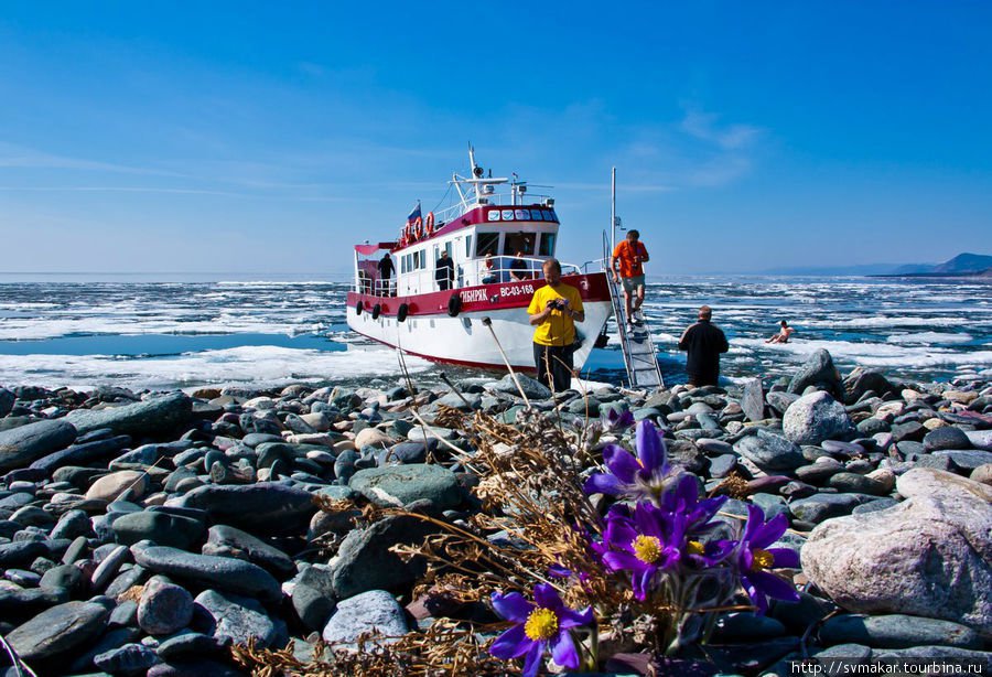 Following the melting ice image