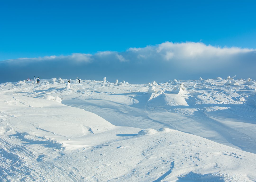 Snowshoeing at White Sea shores image