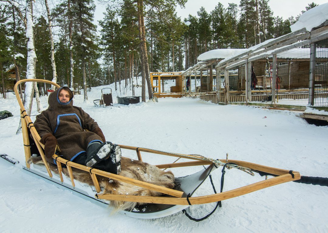 Reindeer sleigh ride image