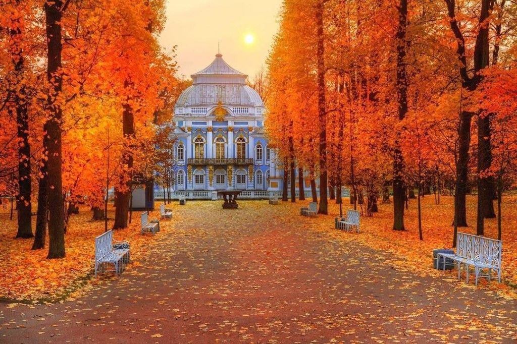 Golden Autumn image