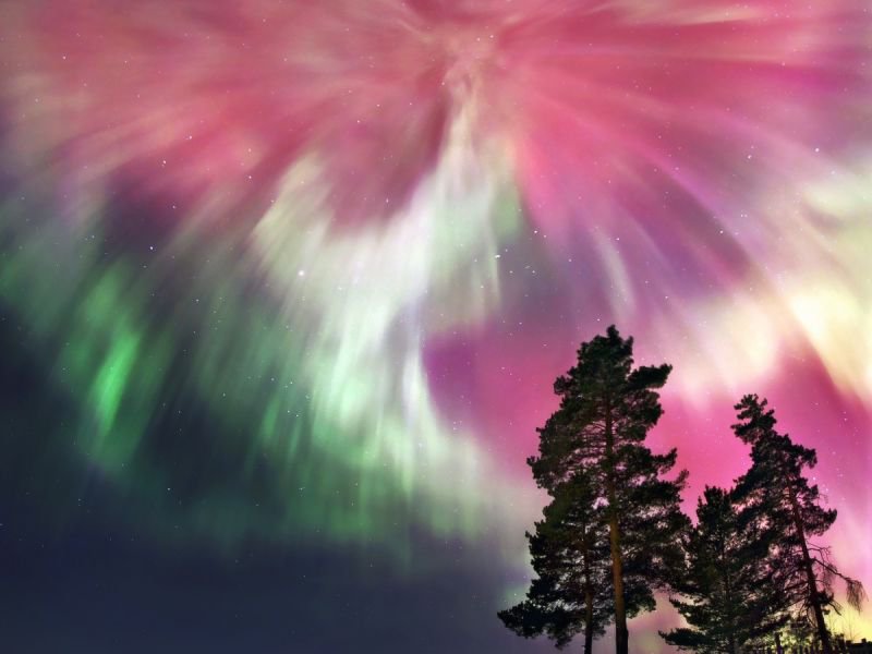 Northern lights in Murmansk image