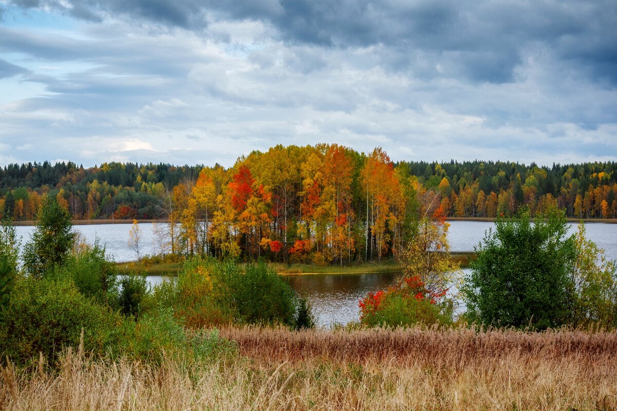 фото кенозерский парк