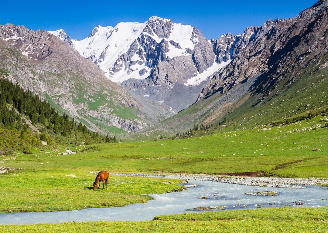 Altai landscape image