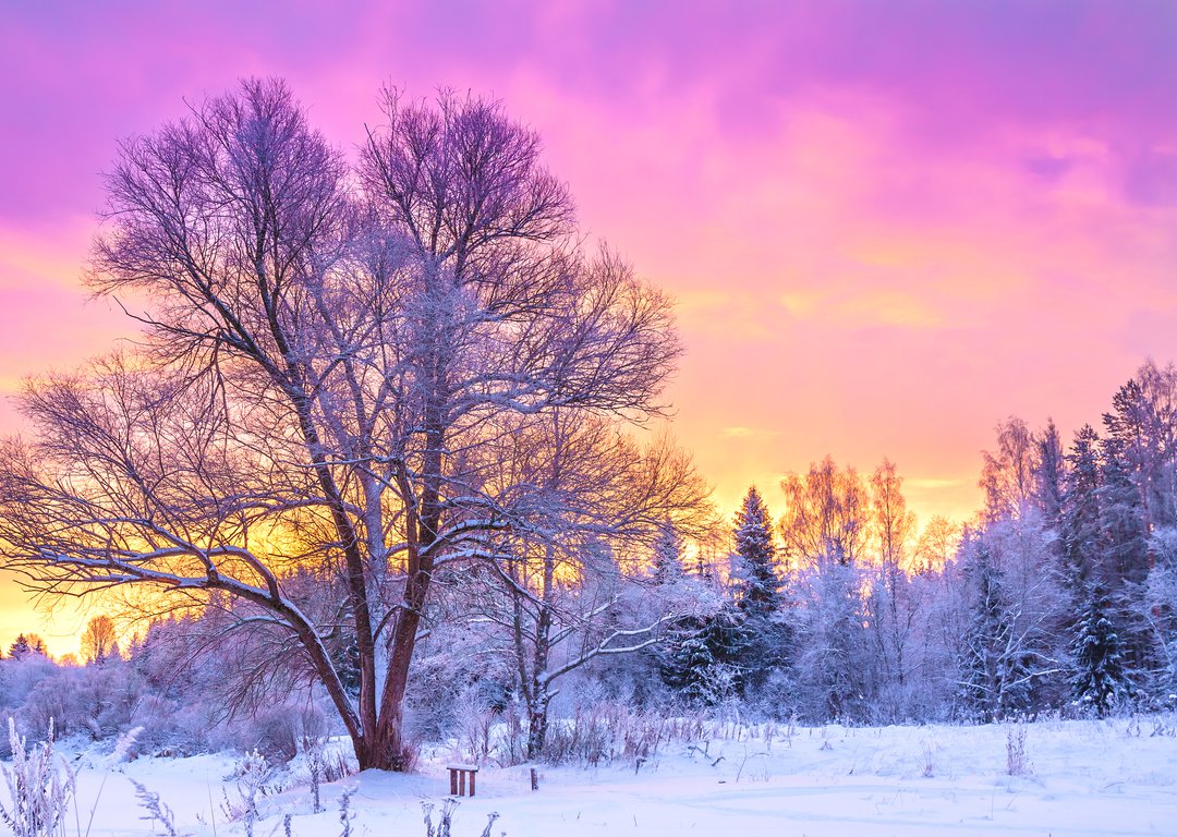 Winter landscape image