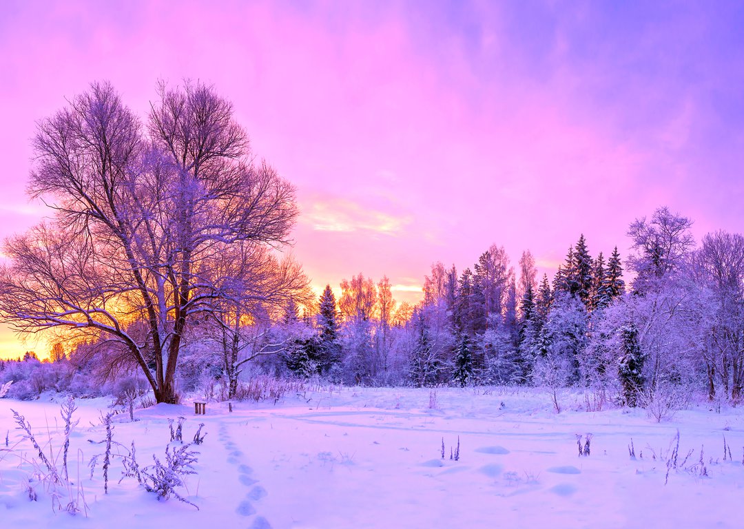 Winter Landscape image